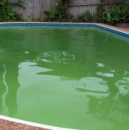 Image of a Green Pool requiring chemical treatment