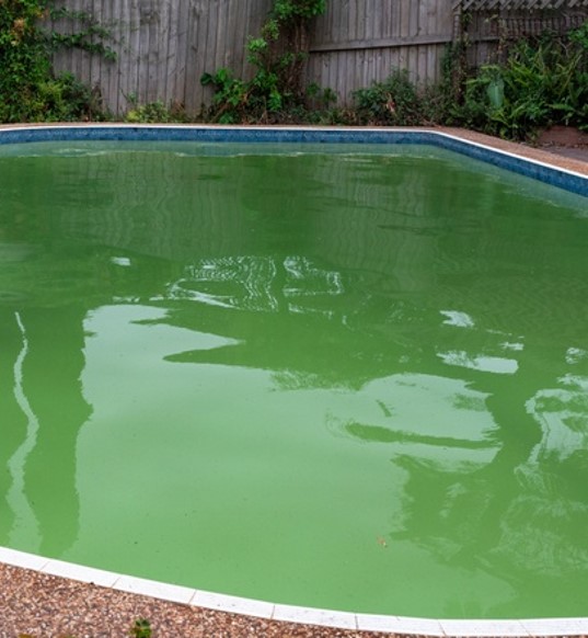 Image of a Green Pool requiring chemical treatment