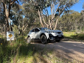 Image of Subaru Uncharted in Warby-Ovens national park